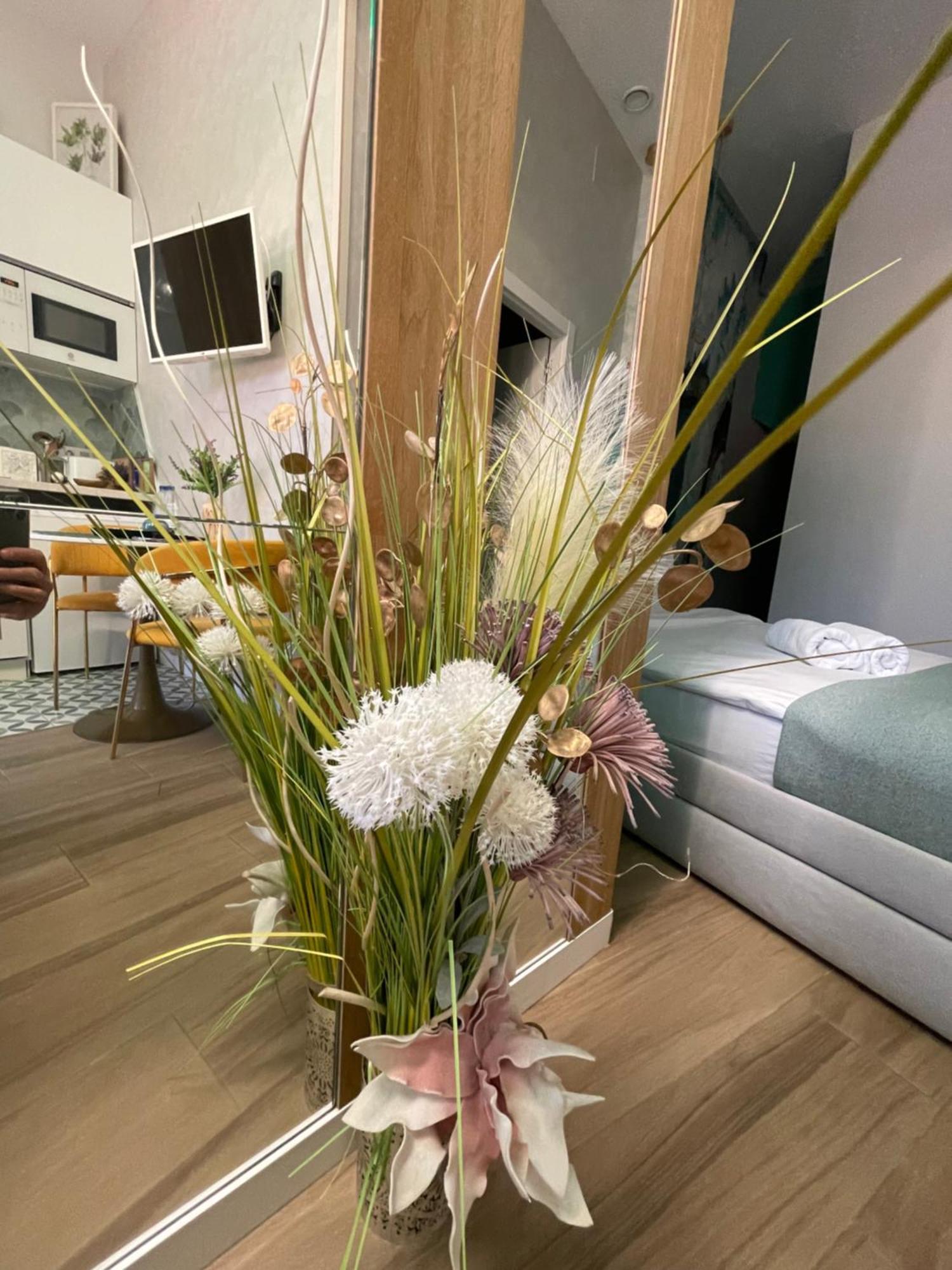 Lounge Garden Sea Mint Fresh Apartment Valencia Exterior photo